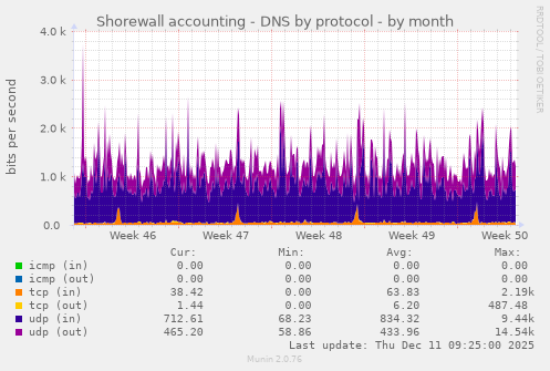 Shorewall accounting - DNS by protocol